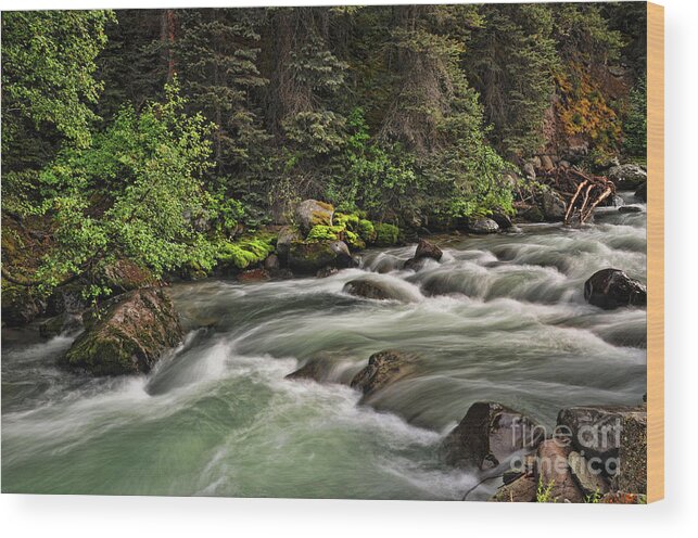 Creek Wood Print featuring the photograph On Henson Creek by Randy Rogers