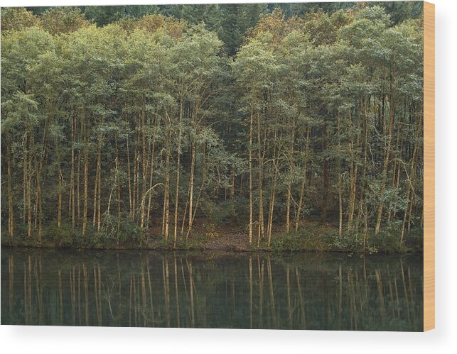 River Wood Print featuring the photograph On the Clackamas by Larry Darnell