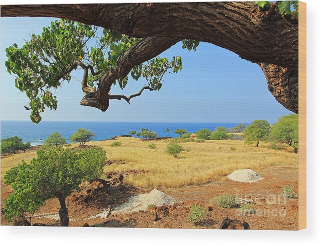 Lapakahi State Historical Park Wood Print featuring the photograph On the Way to Lapakahi by Jennifer Robin