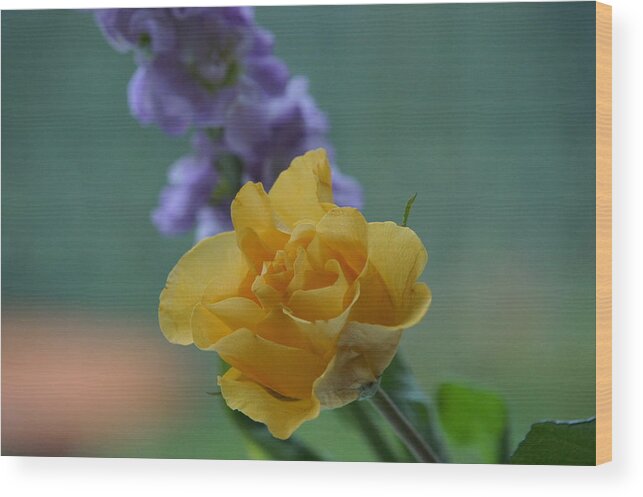 Floral Wood Print featuring the photograph On the window sill. by Elena Perelman