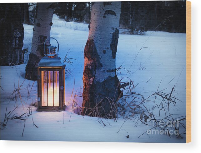 Winter Wood Print featuring the photograph On This Winter's Night... by The Forests Edge Photography - Diane Sandoval