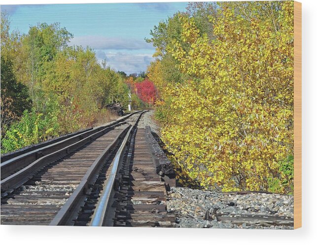 Fall Foliage Wood Print featuring the photograph On to fall by Glenn Gordon