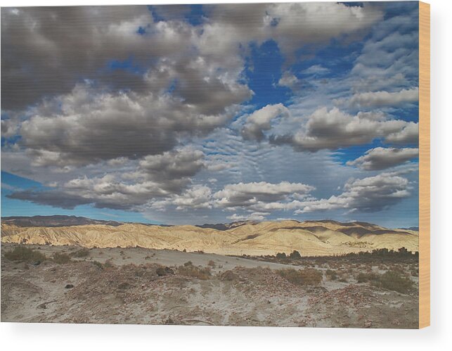 Palm Desert Wood Print featuring the photograph One Day I'll Fly by Laurie Search
