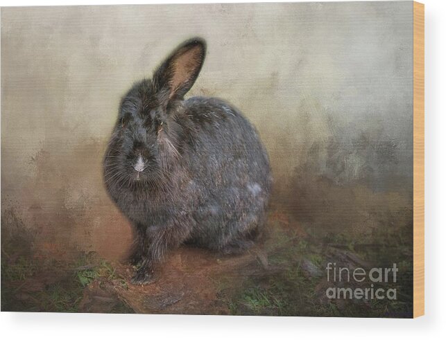 Rabbit Wood Print featuring the photograph One Eared Rabbit by Eva Lechner