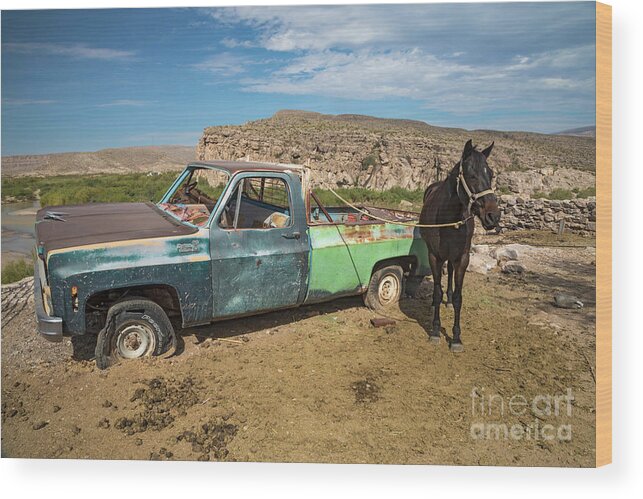 Boquillas Wood Print featuring the photograph One Horsepower by Jim West