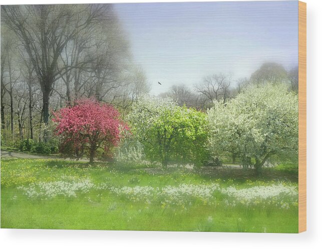 New York Botanical Gardens Wood Print featuring the photograph One Love by Diana Angstadt