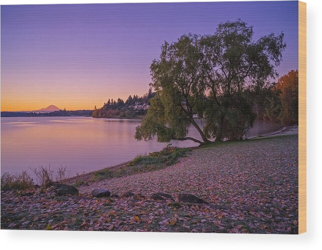 Lake Wood Print featuring the photograph One Morning at the Lake by Ken Stanback