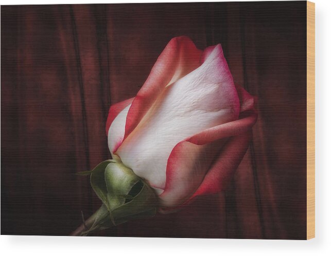 Art Wood Print featuring the photograph One Red Rose Still Life by Tom Mc Nemar