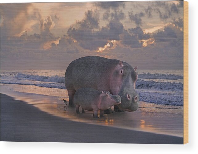 Hippo Wood Print featuring the digital art Only On Topsail The Best Kept Secret by Betsy Knapp