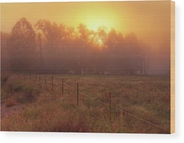 Mist Wood Print featuring the photograph Oranage Dawn by Robert Charity