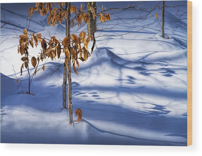 Autumn Wood Print featuring the photograph Orange Leaves in the Winter Snow by Randall Nyhof