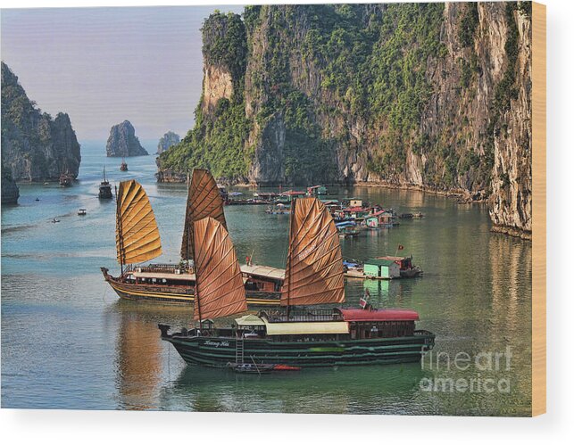 Vietnam Wood Print featuring the photograph Orange Sails Asian Cruise Vietnam by Chuck Kuhn