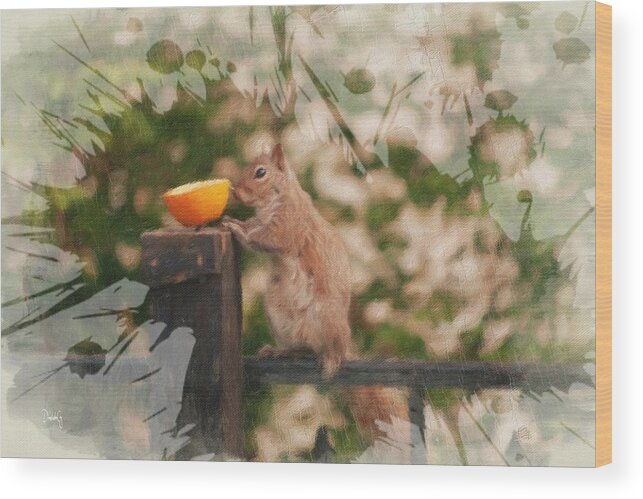 Squirrel Wood Print featuring the photograph Orange Squirrel Splash by Diane Lindon Coy