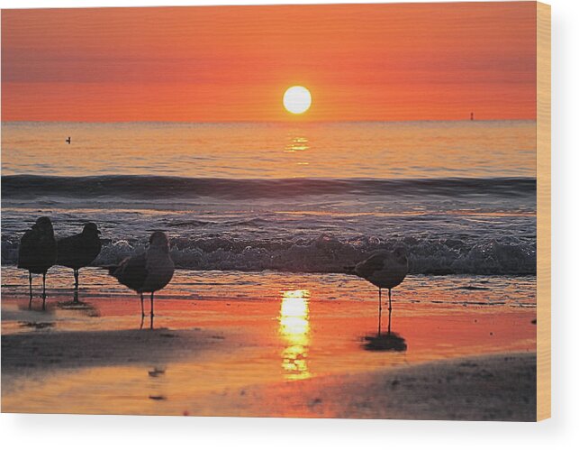 Atlantic Ocean Wood Print featuring the photograph Orange Sunrise Shine by Robert Banach