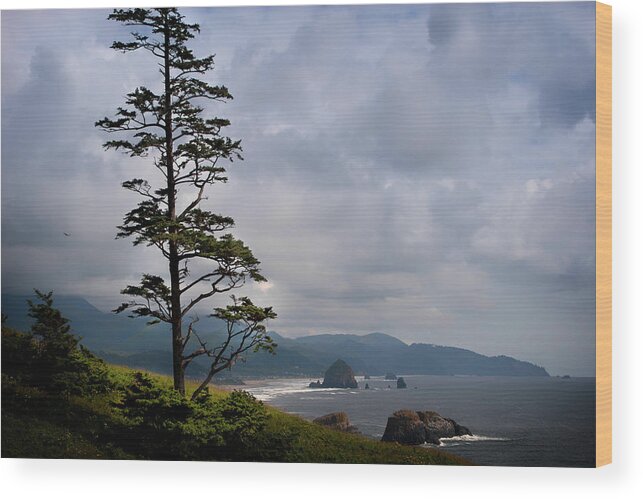 West Coast Wood Print featuring the photograph Oregon Ocean Vista by David Chasey