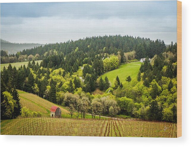 Oregon Wood Print featuring the photograph Oregon Wine Country by TK Goforth