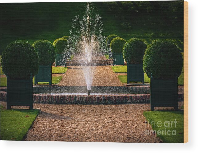 Gardenscape Wood Print featuring the photograph Ornamental Garden with Fountain by Heiko Koehrer-Wagner