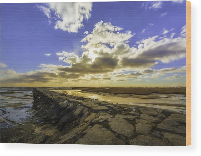 Herring Beach Wood Print featuring the photograph Out Going Tide by Mary Clough