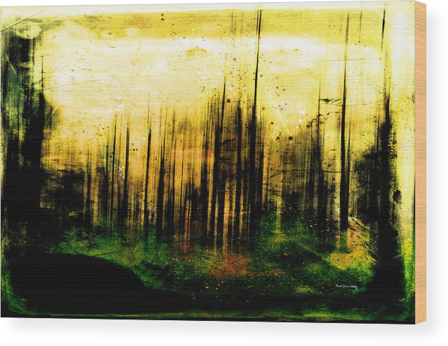 Randigracenilsberg Wood Print featuring the photograph Out of Darkness by Randi Grace Nilsberg