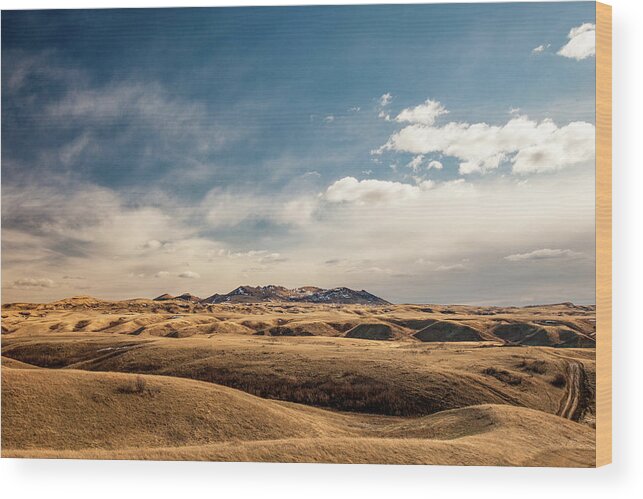 Rolling Hills Wood Print featuring the photograph Out of This Worldly by Todd Klassy