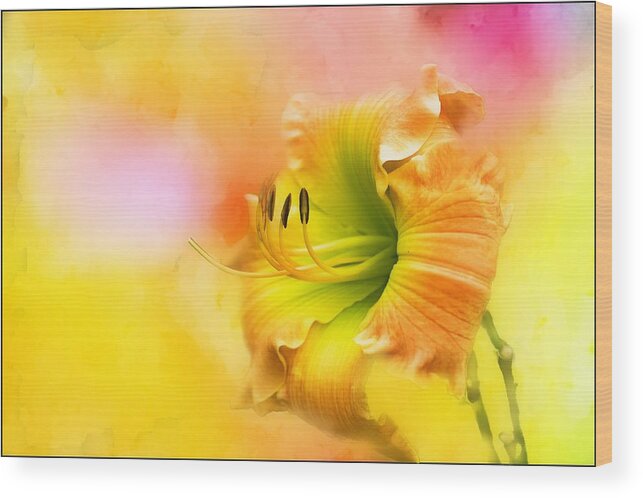 Flora Wood Print featuring the photograph Out of Yellow by Ches Black