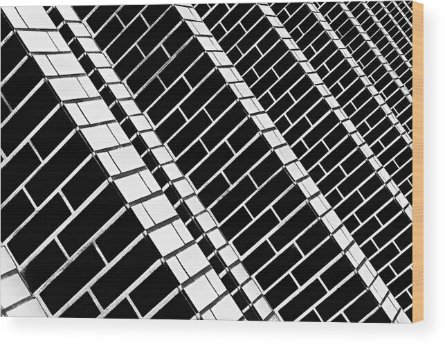 Aveiro Wood Print featuring the photograph Over The Garden Wall by Paulo Abrantes