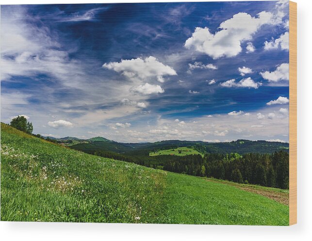 Beskids Wood Print featuring the photograph Over the Green Hills by Dmytro Korol