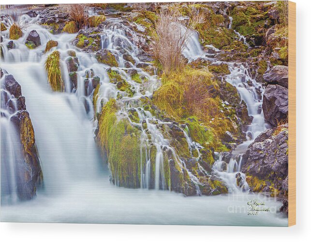 Pacific Northwest Wood Print featuring the photograph Pacific Northwest by David Millenheft