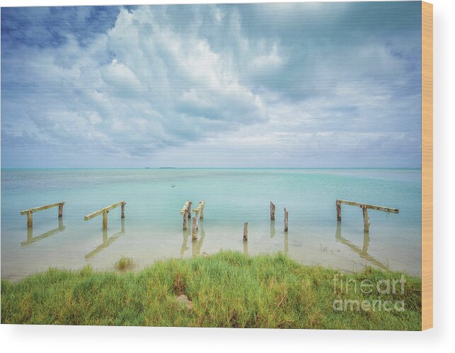 Ocean Wood Print featuring the photograph Paddleboard Hitching Post by Becqi Sherman