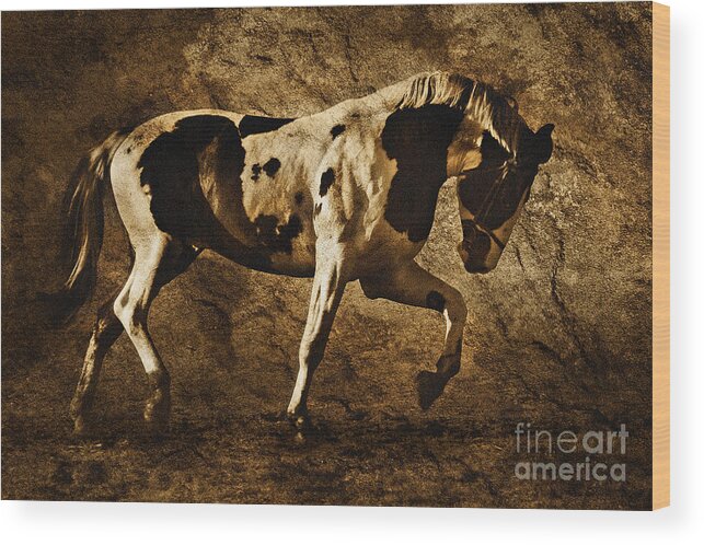 Horse Wood Print featuring the photograph Paint horse by Dimitar Hristov
