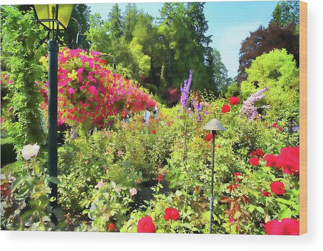 Butchart Wood Print featuring the photograph Painted Gardens by Lawrence Christopher