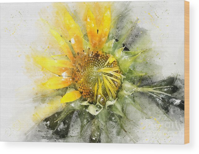 Flower Wood Print featuring the digital art Painted Sunflower by Teresa Zieba