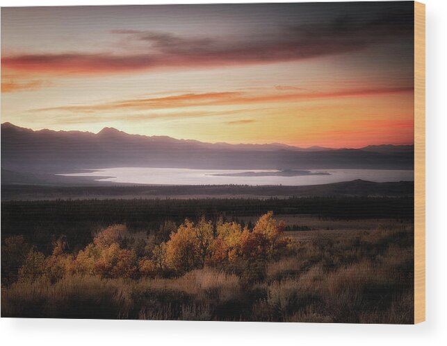 Sunrise Wood Print featuring the photograph Painting with Color by Nicki Frates