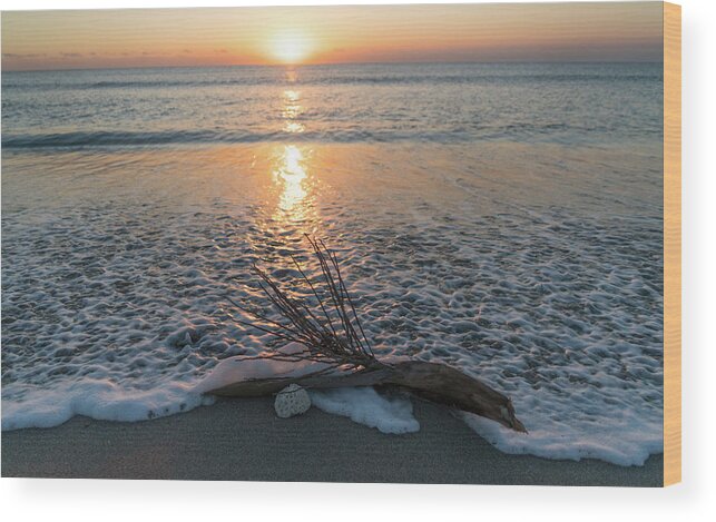 Florida Wood Print featuring the photograph Palm Frond Coral Sunrise Wave Delray Beach Florida by Lawrence S Richardson Jr