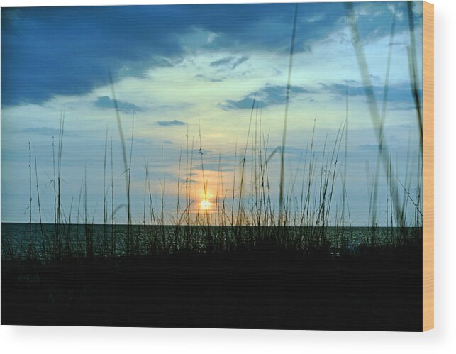 Sunset Wood Print featuring the photograph Palm Island by Anthony Baatz