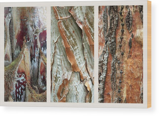 Bark Wood Print featuring the photograph Palm Tree Bark Triptych by Jessica Jenney