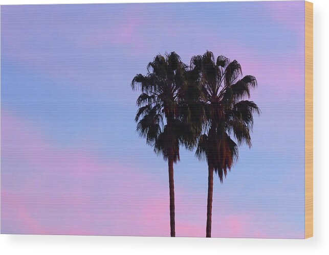 Palm Trees Wood Print featuring the photograph Palm Trees Silhouette at Sunset by Ram Vasudev