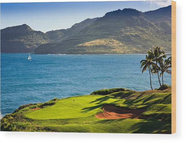 Photography Wood Print featuring the photograph Palm Trees In A Golf Course, Kauai by Panoramic Images