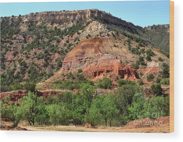 Palo Duro Wood Print featuring the photograph Palo Duro Canyon in Texas by Louise Heusinkveld