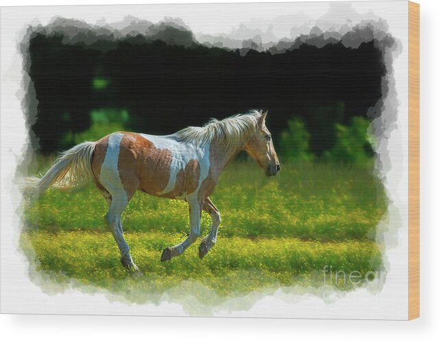 Palomino Wood Print featuring the photograph Palomino galloping in field by Dan Friend