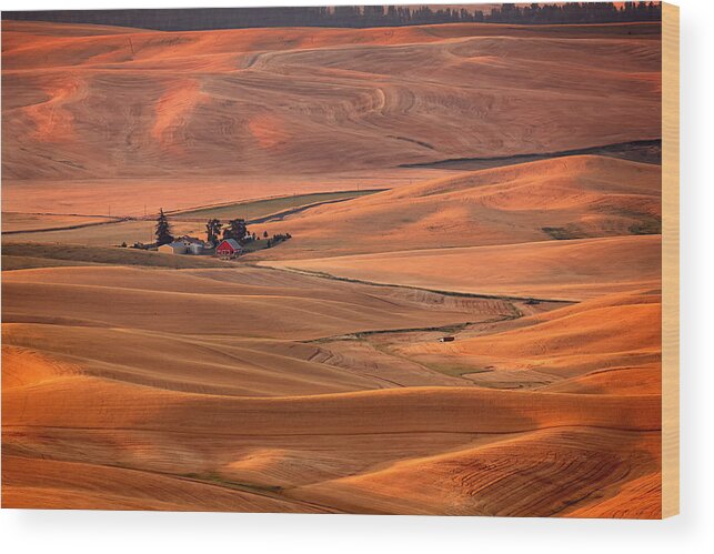 Harvest Wood Print featuring the photograph Palouse Farm Sunset by Mary Jo Allen