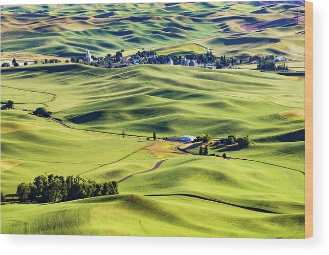 Photography Wood Print featuring the photograph Palouse from Steptoe by Joe Kopp