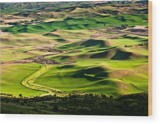 Palouse Wood Print featuring the photograph Palouse Hills 2 by Niels Nielsen