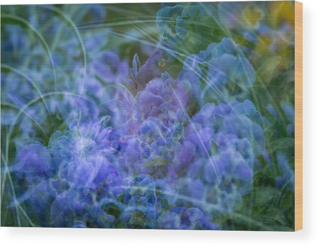 Spring Wood Print featuring the photograph Pansy Dance by Joye Ardyn Durham