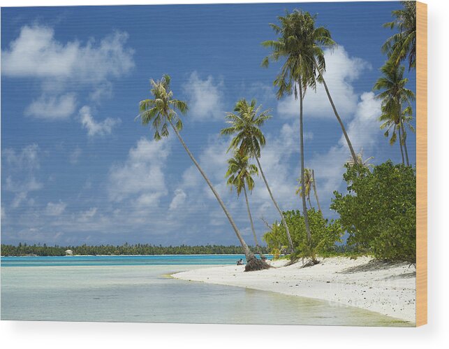 Beach Wood Print featuring the photograph Paradise - Maupiti Lagoon by Kyle Rothenborg - Printscapes
