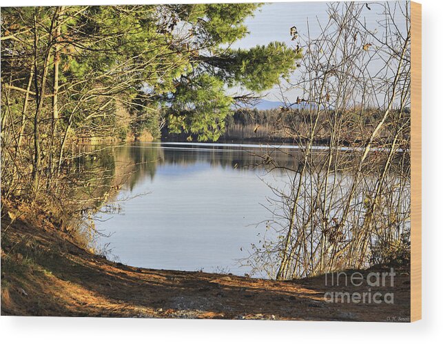 Water Wood Print featuring the photograph Park And View by Deborah Benoit
