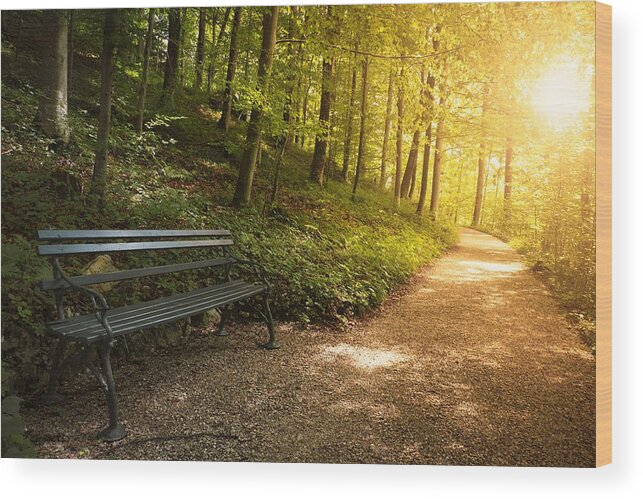 Park Bench Wood Print featuring the photograph Park Bench In Fall by Chevy Fleet