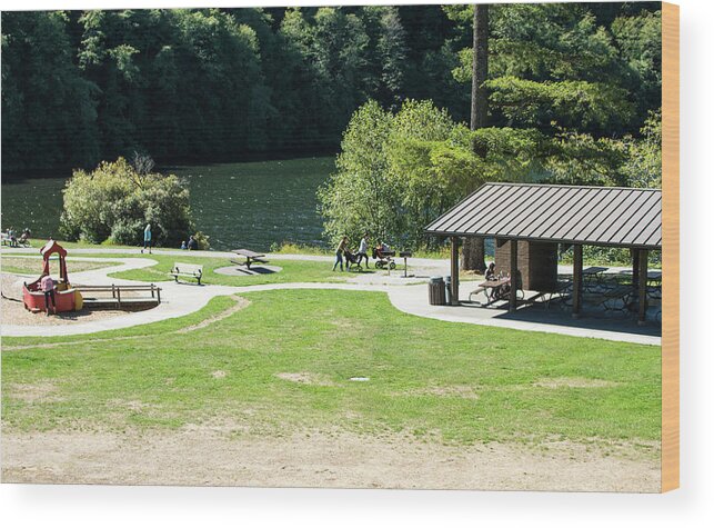 Park Enjoyment Wood Print featuring the photograph Park Enjoyment by Tom Cochran