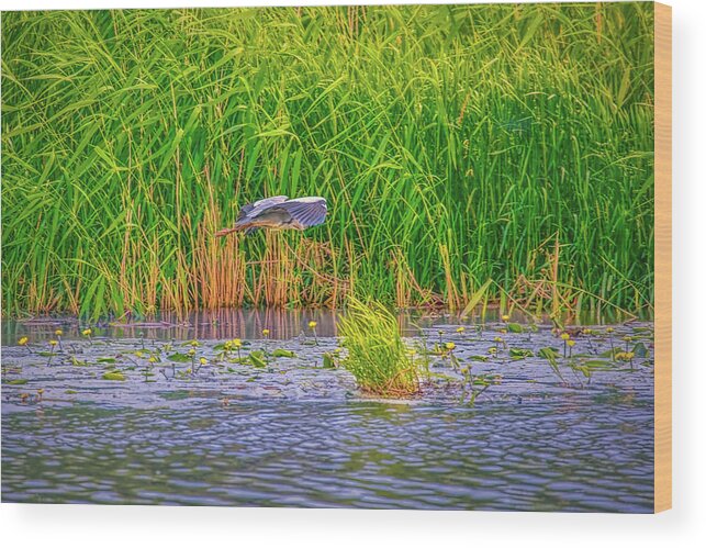 Nature Wood Print featuring the photograph Passing. by Leif Sohlman