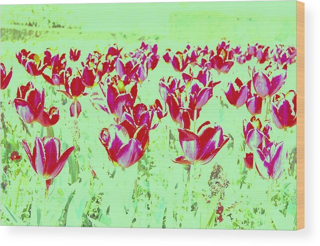 Flowers Wood Print featuring the photograph Passion by HweeYen Ong